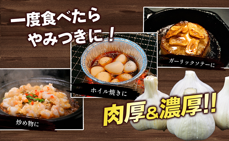 乾燥にんにく【ご家庭用】3kg 野菜 野菜セット ニンニク 