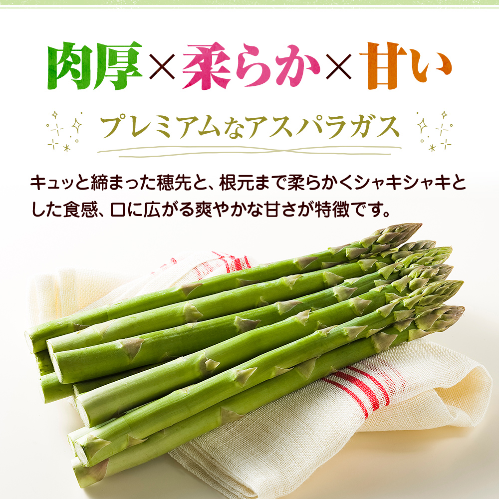アスパラガス【さぬきのめざめ】訳あり品　約1kg