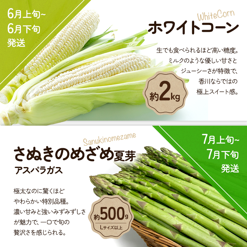 野菜セット 定期便 全5回 香川県産 さぬきのめざめ アスパラガス アスパラ 春芽 夏芽 ブロッコリー ホワイトコーン とうもろこし ミニトマト トマト 約2kg 約500g 約800g 旬 旬の野菜 野菜 国産 詰め合わせ 五色青果 香川県 東かがわ市