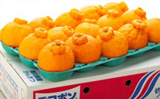 デコポン でこぽん しらぬひ 不知火 約5kg 香川県産 国産 柑橘 柑橘類 みかん 蜜柑 ミカン 果物 くだもの フルーツ 果実 甘みが強い 程よい酸味 薄皮ごと 手で剥ける デザート ジュース お取り寄せ 五色青果 香川 香川県 東かがわ市 46311895