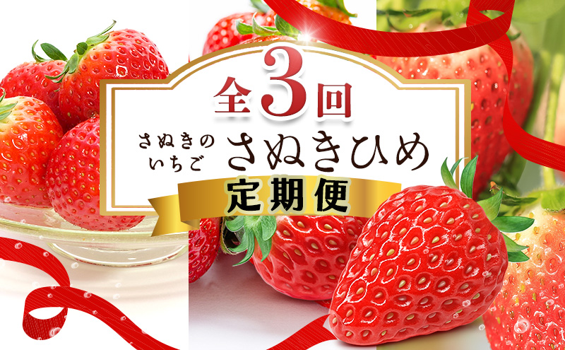 いちご 定期便 3ヶ月 3回 さぬきひめ さぬきひめ苺 香川県産 讃岐 さぬき 苺 イチゴ ストロベリー 果物 フルーツ くだもの 大粒 化粧箱 約400g 約750g 約1.2kg 250g × 3パック 訳あり 2月発送 3月発送 4月発送 香川県 東かがわ市 46312741