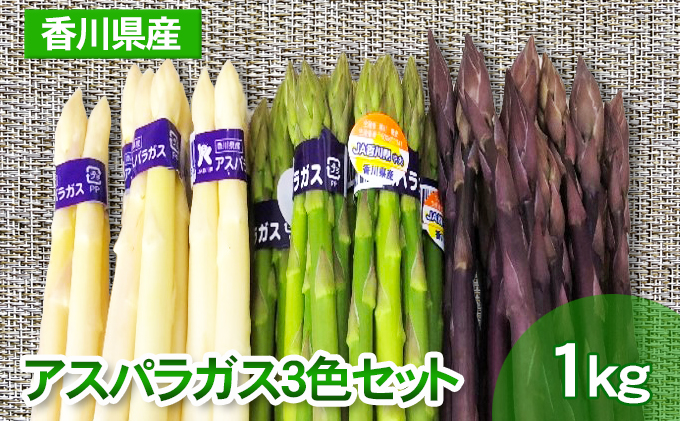 アスパラガス 3色 セット 香川県産 計1kg グリーンアスパラ 500g ホワイトアスパラ 300g パープルアスパラ 200g 食べ比べ 天ぷら バター炒め サラダ アスパラ 野菜 野菜セット 冷蔵 五色青果 香川県 東かがわ市 46311974