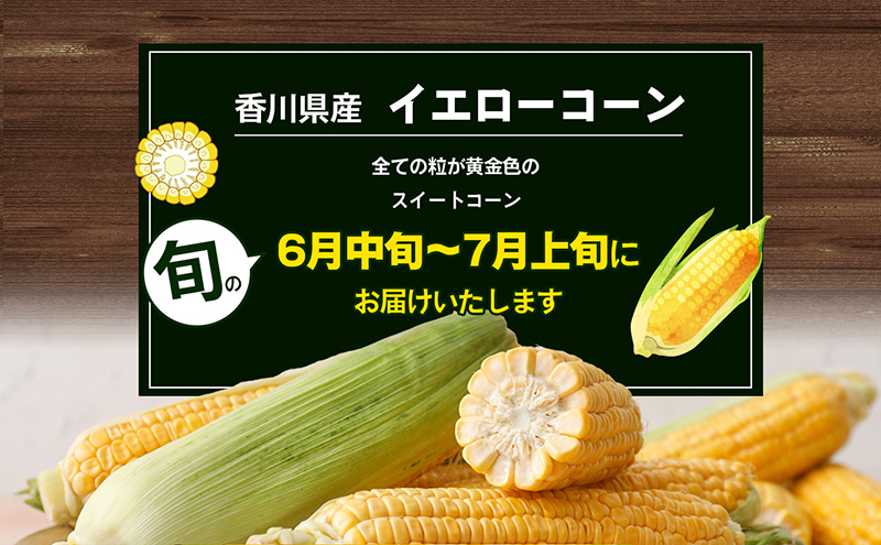 とうもろこし イエローコーン 約3kg 8から12本 黄金色 大粒 ジューシー スイートコーン コーン 玉蜀黍 焼きとうもろこし 茹でとうもろこし コーンスープ バーベキュー 野菜 冷蔵 五色青果 香川県 東かがわ市 46311934