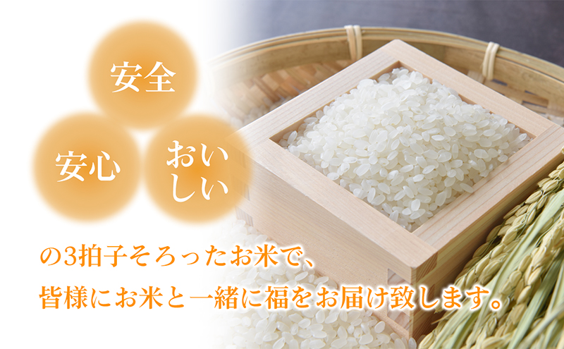 コシヒカリ 精米 6kg 3kg × 2袋 令和8年産 香川県産 国産 令和8年 米 こしひかり 健康食 炊きやすい おいしいお米 お米の代表格 6キロ 3キロ 小分け ご飯 ごはん 国産米 東かがわ市産 精白米 ブランド米 お米 白米 香川 香川県 東かがわ市 46312558◆