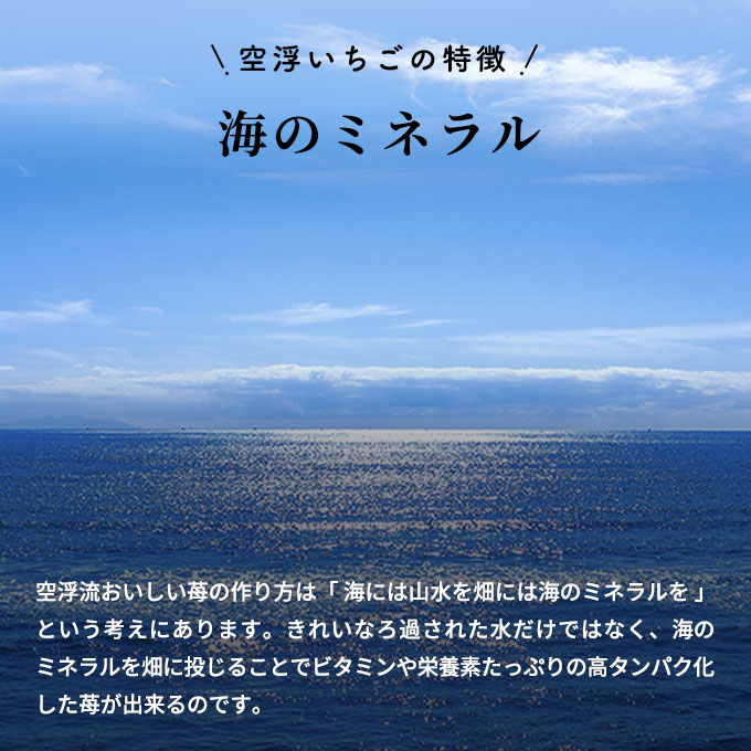 空浮いちご 8パック「北海道・沖縄・離島へのお届け不可」 果物 フルーツ 香川県産 ハウス育ち デザート おやつ 食後 お菓子作り ケーキ作り 