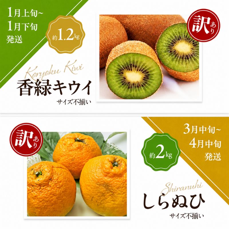 「生活応援企画！」讃岐の訳ありフルーツ定期便（全8回）
