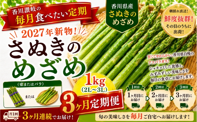 香川讃岐の毎月食べたい定期「2027年新物！さぬきのめざめ 1kg（2L～３L）」3ヶ月定期便