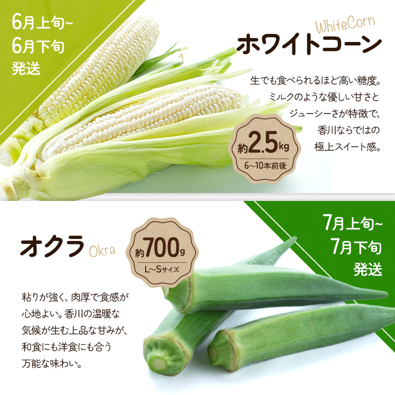 野菜セット 定期便 全5回 香川県産 さぬきのめざめ アスパラガス アスパラ ブロッコリー ホワイトコーン とうもろこし オクラ ミニトマト トマト 約2.5kg 約800g 約700g 旬 旬の野菜 野菜 国産 詰め合わせ 五色青果 香川県 東かがわ市 46312763