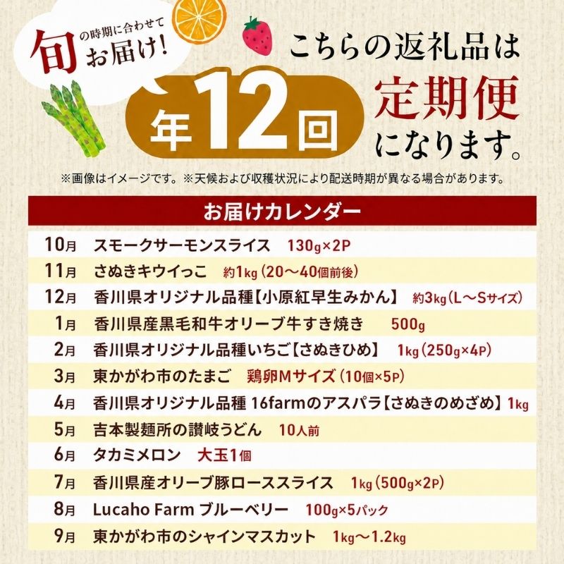 東かがわ市お楽しみ頒布会(12回) サーモン キウイ 黒毛和牛 みかん いちご 卵 アスパラ 讃岐うどん メロン 豚肉 ブルーベリー シャインマスカット 香川