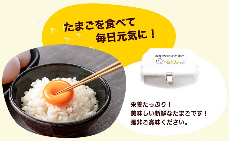 東かがわ市のたまご「鶏卵Mサイズ（10個×10P）」割れ保障1p含む たまご 卵 鶏卵