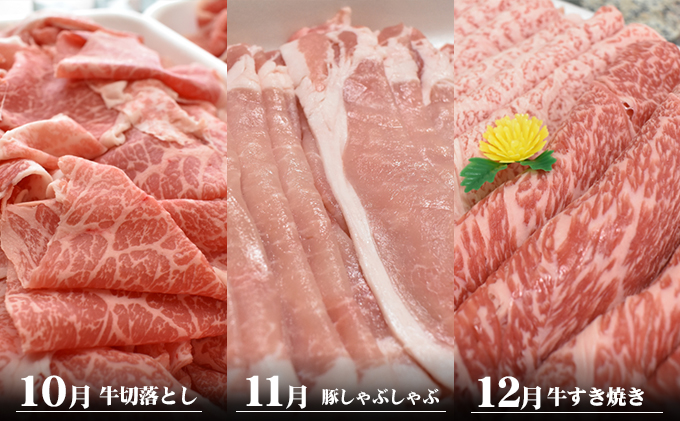 香川県産　オリーブ牛、豚　1kg　定期便（7月～12月） お肉 焼肉用 スライス用 しゃぶしゃぶ用 切り落とし すき焼き用 