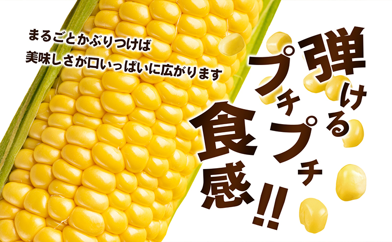 とうもろこし イエローコーン 約3kg 8から12本 黄金色 大粒 ジューシー スイートコーン コーン 玉蜀黍 焼きとうもろこし 茹でとうもろこし コーンスープ バーベキュー 野菜 冷蔵 五色青果 香川県 東かがわ市 46311934