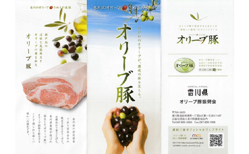 香川県産オリーブ豚ロース2kg(500g×4p) 豚肉 肉 お肉 香川 香川県 東かがわ市