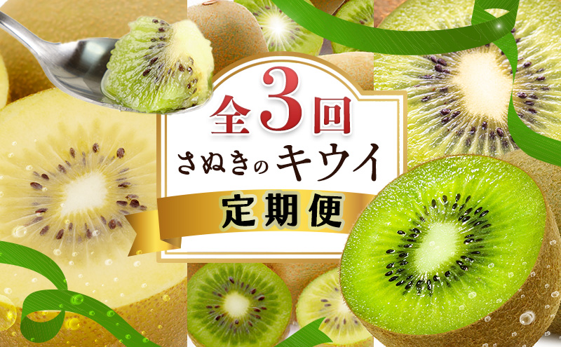 キウイ 定期便 3ヶ月 3回 キウイフルーツ 香川県産 讃岐 さぬき 約1.2kg 約1kg さぬきゴールドキウイ さぬきキウイっこ 香緑キウイ ゴールドキウイ 果物 フルーツ くだもの 10月発送 11月発送 12月発送 連続お届け 香川県 東かがわ市 46312734