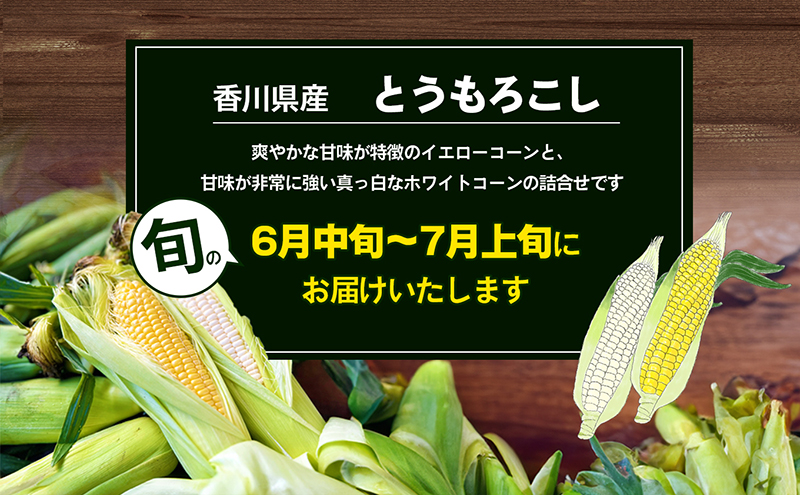 とうもろこし コーン 食べ比べ セット 詰合せ 2種 イエローコーン 約3kg 8から12本 ホワイトコーン 約2kg 5から8本 約5kg 甘い 真っ白 玉蜀黍 とうきび 詰め合わせ 野菜 家庭用 五色青果 香川県 東かがわ市 46312382