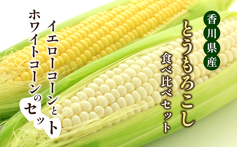 とうもろこし コーン 食べ比べ セット 詰合せ 2種 イエローコーン 約3kg 8から12本 ホワイトコーン 約2kg 5から8本 約5kg 甘い 真っ白 玉蜀黍 とうきび 詰め合わせ 野菜 家庭用 五色青果 香川県 東かがわ市 46312382