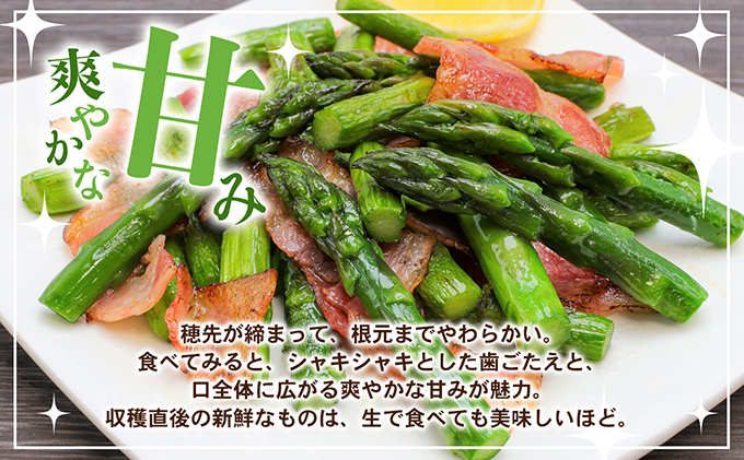 アスパラガス【さぬきのめざめ】夏芽30cmセミロングサイズ1kg グリーンアスパラガス 野菜 柔らかい シャキシャキ 旬の野菜 国産 食材 