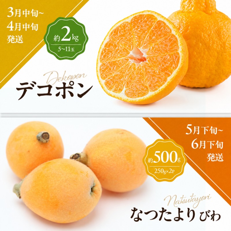 少しがうれしい讃岐のフルーツ定期便（全8回）【香緑キウイ】【さぬきひめ苺】【デコポン】【なつたより(びわ)】【シャインマスカット】【さぬきゴールドキウイ】【さぬきキウイっこ】【小原紅早生みかん】 46312746