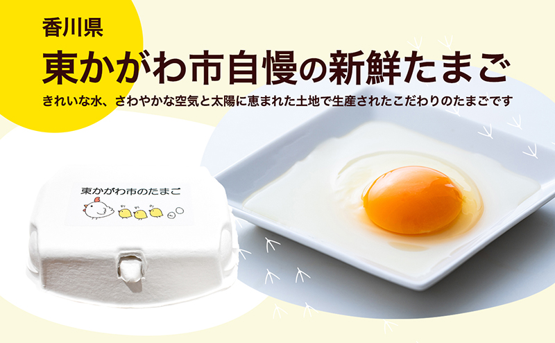 東かがわ市のたまご「鶏卵Mサイズ（10個×5P）」割れ保障1p含む 3ヵ月定期便 たまご 卵 鶏卵 3回 定期便