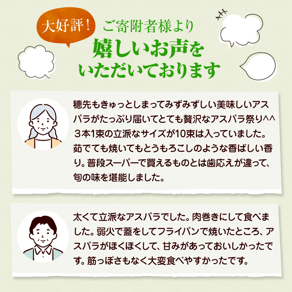 アスパラガス【さぬきのめざめ】訳あり品　約1kg