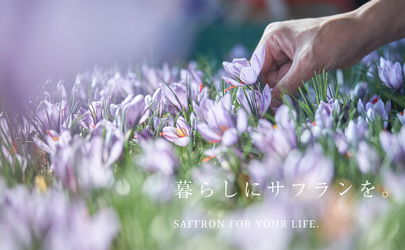美容液 サフラン 30ml 国産サフラン 瀬戸サフラン エッセンス スキンケア 保湿 保湿ケア 栽培期間中農薬不使用 香川県産 化粧品 コスメ 基礎化粧品 美容 フェイスケア アロマ 香り 贈答 贈り物 ギフト GRプラント 香川県 東かがわ市