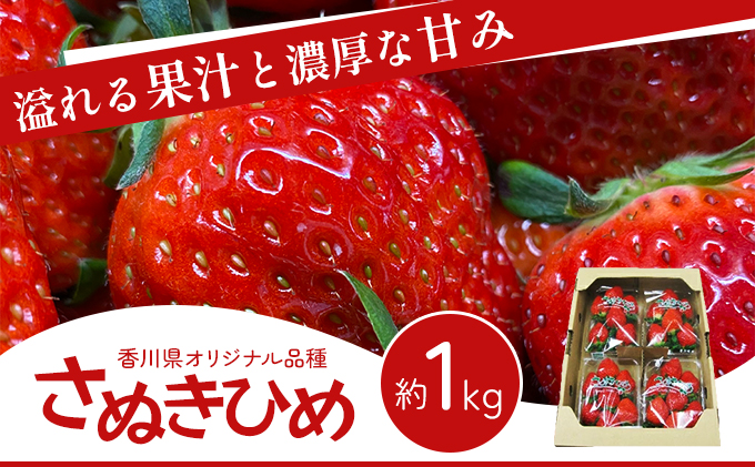 いちご さぬきひめ さぬきひめいちご 約1kg 250g × 4パック 香川県産 讃岐 さぬき 苺 イチゴ ストロベリー 大粒 大粒いちご おむすび型 糖度 酸味 香川県オリジナル 果物 フルーツ くだもの 贈答 ギフト 香川県 東かがわ市 46312842◆