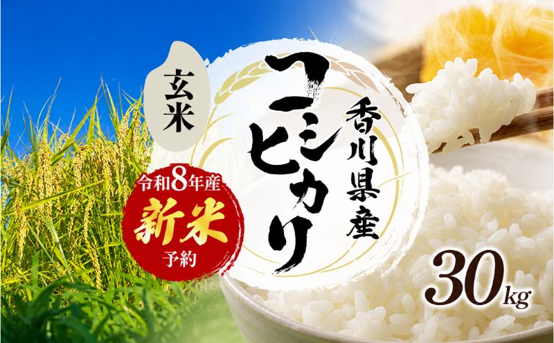令和8年産　新米「コシヒカリ」30kg（玄米）お米 30kg 