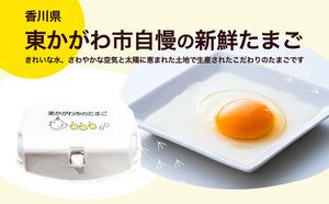 東かがわ市のたまご「鶏卵Mサイズ（10個×5P）」