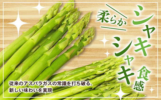 アスパラガス【さぬきのめざめ】夏芽30cmセミロングサイズ1kg グリーンアスパラガス 野菜 柔らかい シャキシャキ 旬の野菜 国産 食材 