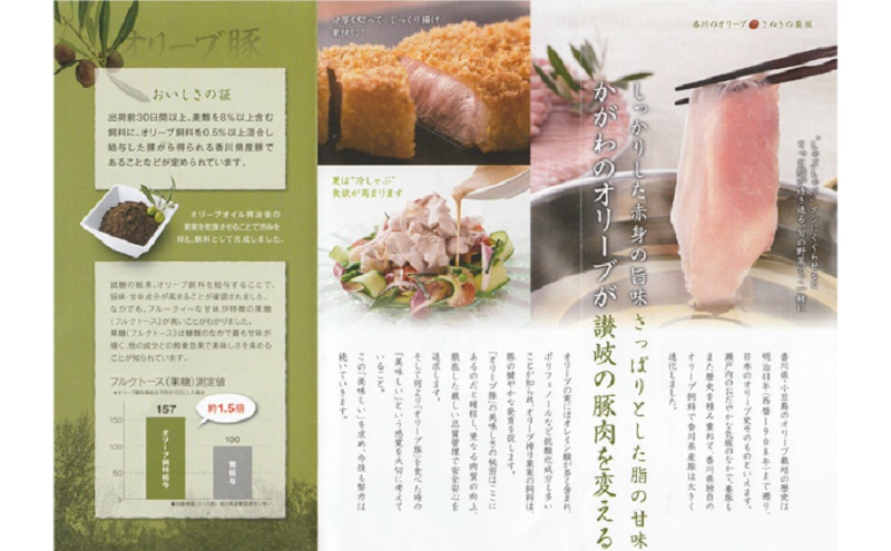 香川県産オリーブ豚ロース2kg(500g×4p) 豚肉 肉 お肉 香川 香川県 東かがわ市
