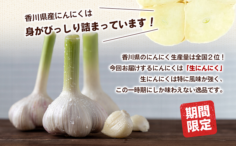 鮮度抜群！土付きにんにく 5kg 野菜 根菜 