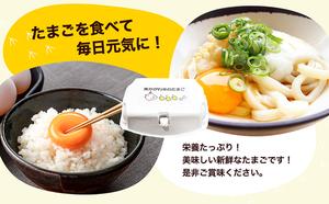 東かがわ市のたまご「鶏卵Mサイズ（10個×5P）」