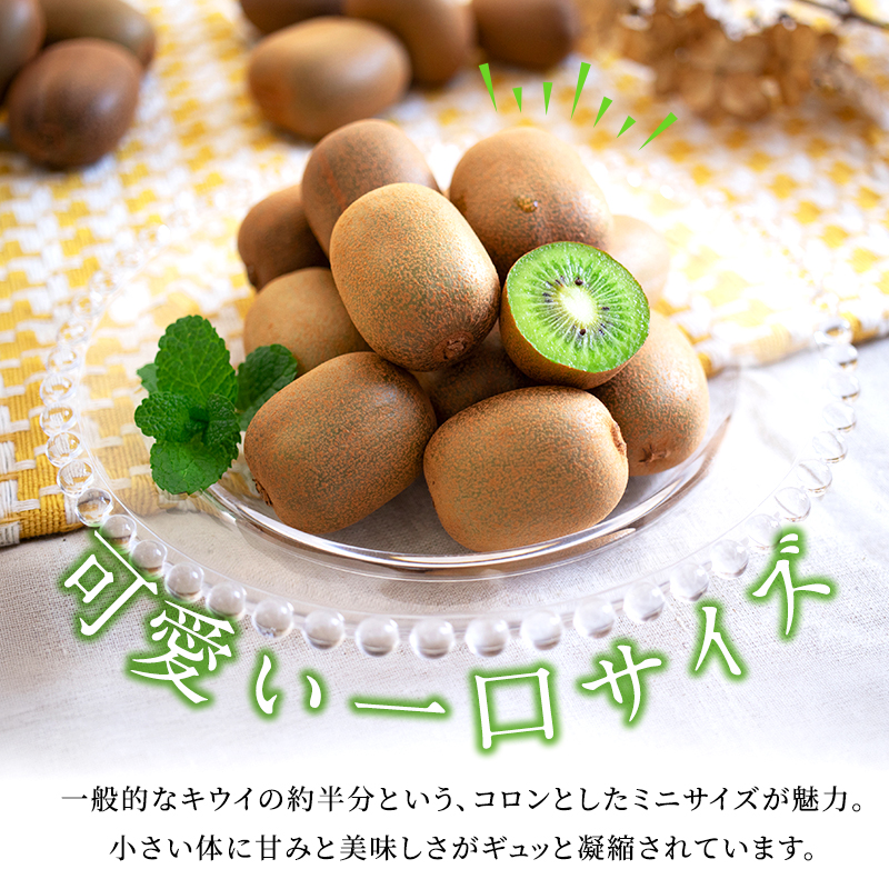 キウイ さぬきキウイっこ キウイっこ 約800g キウイフルーツ 讃岐 香川県オリジナル 一口サイズ ミニサイズ ミニ 小さい 毛がない サイズバラ 果物 フルーツ くだもの お取り寄せ デザート おやつ 朝食 香川県 東かがわ市 46312839◆