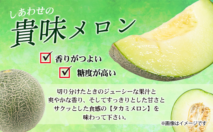 幸せの「タカミメロン」1玉（大玉） フルーツ 果物 
