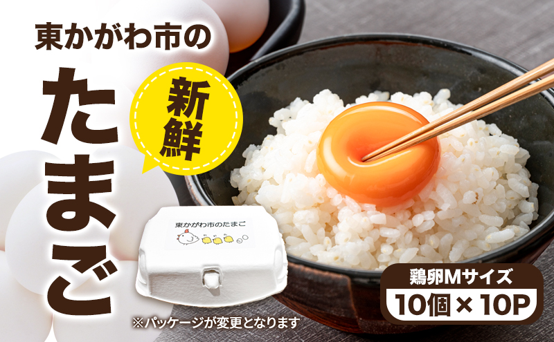 東かがわ市のたまご「鶏卵Mサイズ（10個×10P）」割れ保障1p含む たまご 卵 鶏卵