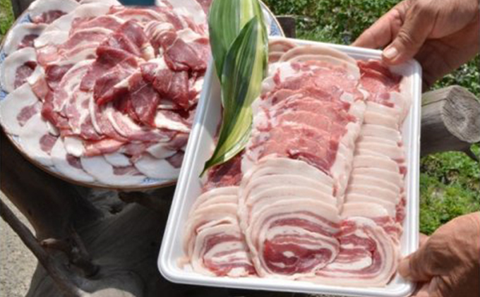 猪肉 いのしし肉 しし肉 ジビエ 700g 猪肉スライス スライスミックス スライス ミックス ロース ハラミ モモ 猪 イノシシ いのしし 野生 どんぐり ぼたん鍋 牡丹鍋 鍋 しゃぶしゃぶ 焼肉 香川県産 国産 五色の里 香川 香川県 東かがわ市 46311822
