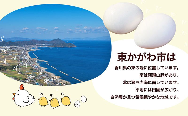 東かがわ市のたまご「鶏卵Mサイズ（10個×3P）」3ヵ月定期便 たまご 卵 鶏卵 3回 定期便