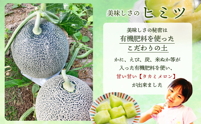 幸せの「タカミメロン」3玉～4玉（約2kg以上） フルーツ 果物 