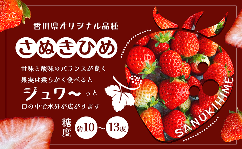 いちご はなまる農園 こだわりいちご さぬきひめ 500g 香川県産 苺 イチゴ フルーツ 果物 くだもの 旬のフルーツ 旬の果物 香川 香川県 東かがわ市