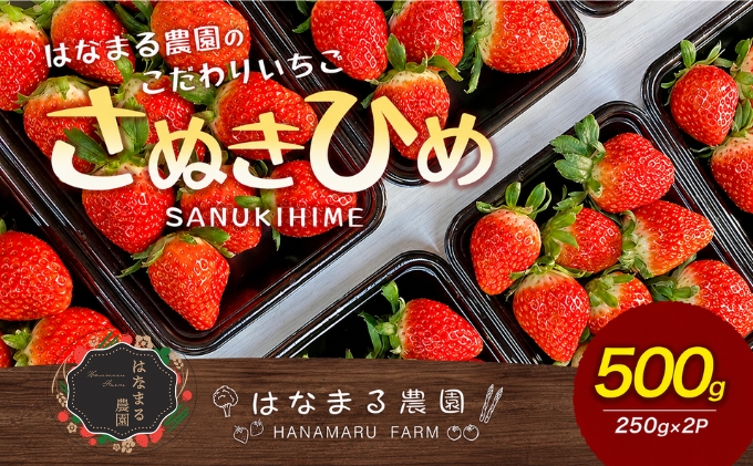 いちご はなまる農園 こだわりいちご さぬきひめ 500g 香川県産 苺 イチゴ フルーツ 果物 くだもの 旬のフルーツ 旬の果物 香川 香川県 東かがわ市