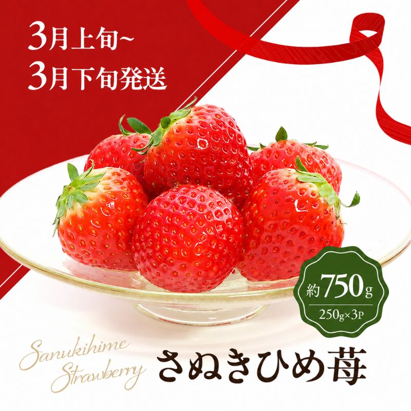いちご 定期便 3ヶ月 3回 さぬきひめ さぬきひめ苺 香川県産 讃岐 さぬき 苺 イチゴ ストロベリー 果物 フルーツ くだもの 大粒 化粧箱 約400g 約750g 約1.2kg 250g × 3パック 訳あり 2月発送 3月発送 4月発送 香川県 東かがわ市 46312741