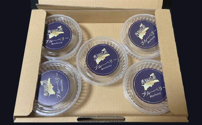 ブルーベリー Lucaho Farm 100g×5p 香川県産 冷蔵ブルーベリー フルーツ 果物 くだもの 旬のフルーツ 旬の果物 香川 香川県 東かがわ市