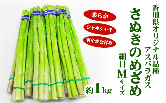 アスパラガス さぬきのめざめ 香川県オリジナル品種 細目 Mサイズ 約1kg 約100g × 10束 天ぷら バター炒め サラダ 肉巻き ベーコン巻き グリル アスパラ 野菜 冷蔵 ギフト お取り寄せ 五色青果 香川県 東かがわ市 46311694