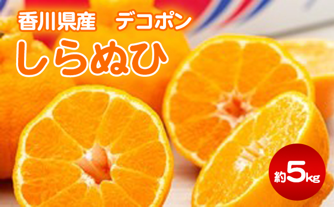デコポン でこぽん しらぬひ 不知火 約5kg 香川県産 国産 柑橘 柑橘類 みかん 蜜柑 ミカン 果物 くだもの フルーツ 果実 甘みが強い 程よい酸味 薄皮ごと 手で剥ける デザート ジュース お取り寄せ 五色青果 香川 香川県 東かがわ市 46311895