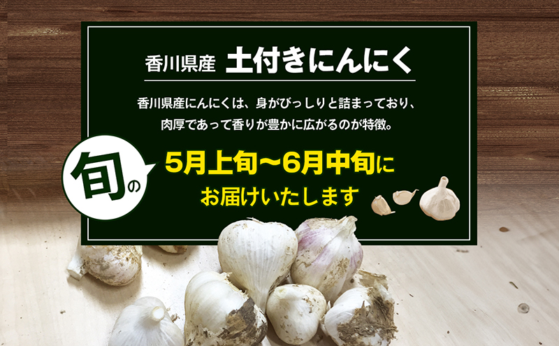 鮮度抜群！土付きにんにく 5kg 野菜 根菜 