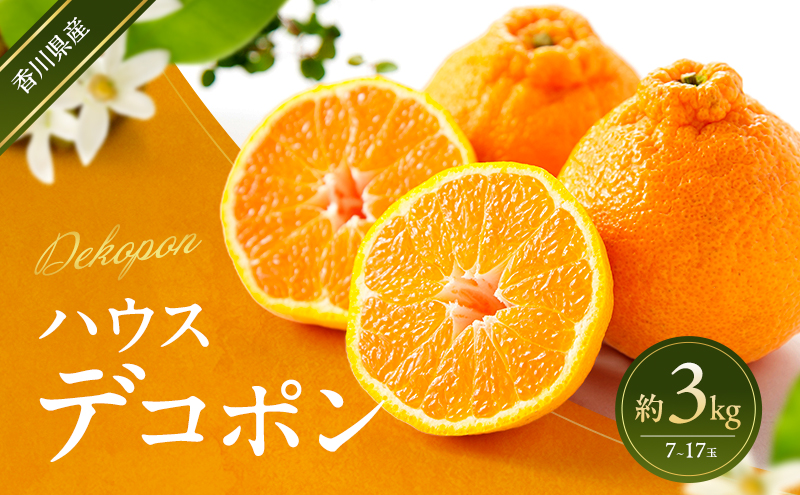 デコポン ハウス栽培 約3kg 7～17玉 箱買い お取り寄せ ギフト 薄皮ごと 皮がむきやすい 手で剥ける 旬の先取り でこぽん 柑橘 みかん 生食 おやつ デザート 旬の果物 柑橘類 蜜柑 ミカン フルーツ 果物 くだもの 果実 五色青果 香川県 東かがわ市 46312787