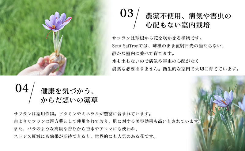 美容液 サフラン 30ml 国産サフラン 瀬戸サフラン エッセンス スキンケア 保湿 保湿ケア 栽培期間中農薬不使用 香川県産 化粧品 コスメ 基礎化粧品 美容 フェイスケア アロマ 香り 贈答 贈り物 ギフト GRプラント 香川県 東かがわ市