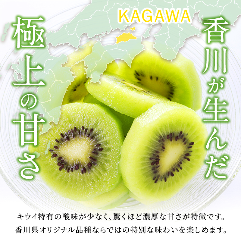 キウイ さぬきキウイっこ キウイっこ 約800g キウイフルーツ 讃岐 香川県オリジナル 一口サイズ ミニサイズ ミニ 小さい 毛がない サイズバラ 果物 フルーツ くだもの お取り寄せ デザート おやつ 朝食 香川県 東かがわ市 46312839◆