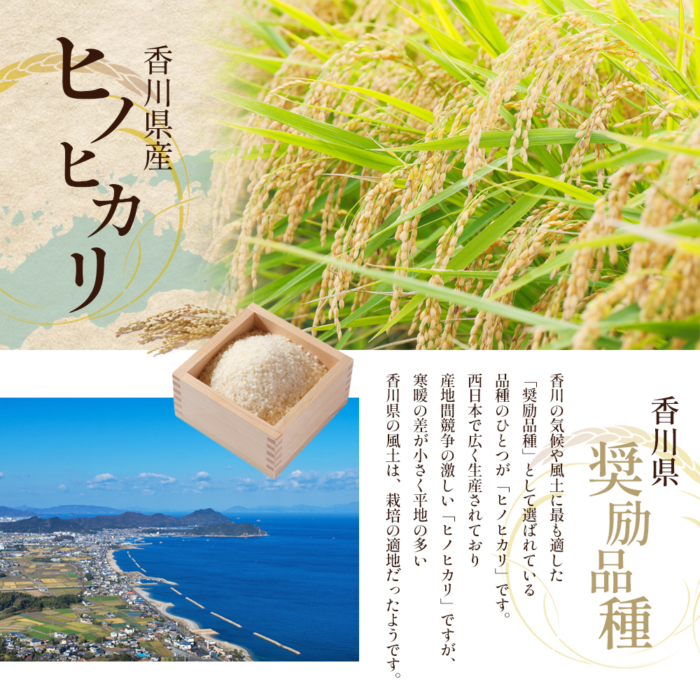 「食卓応援品」令和7年産「ヒノヒカリ」30kg（玄米） お米 30kg