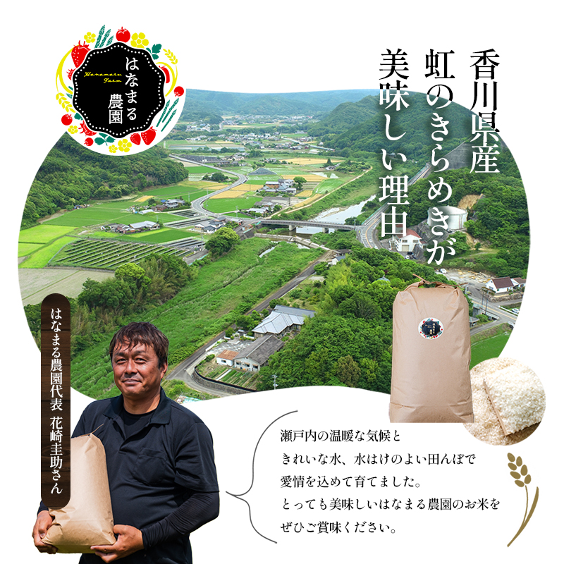 にじのきらめき 虹のきらめき 玄米 30kg 30キロ 令和8年 香川県産 国産 米 お米 国産米 香川県産米 大粒 もっちり 粘り おにぎり ご飯 ごはん はなまる農園 甘み 香川 香川県 東かがわ市 46312688